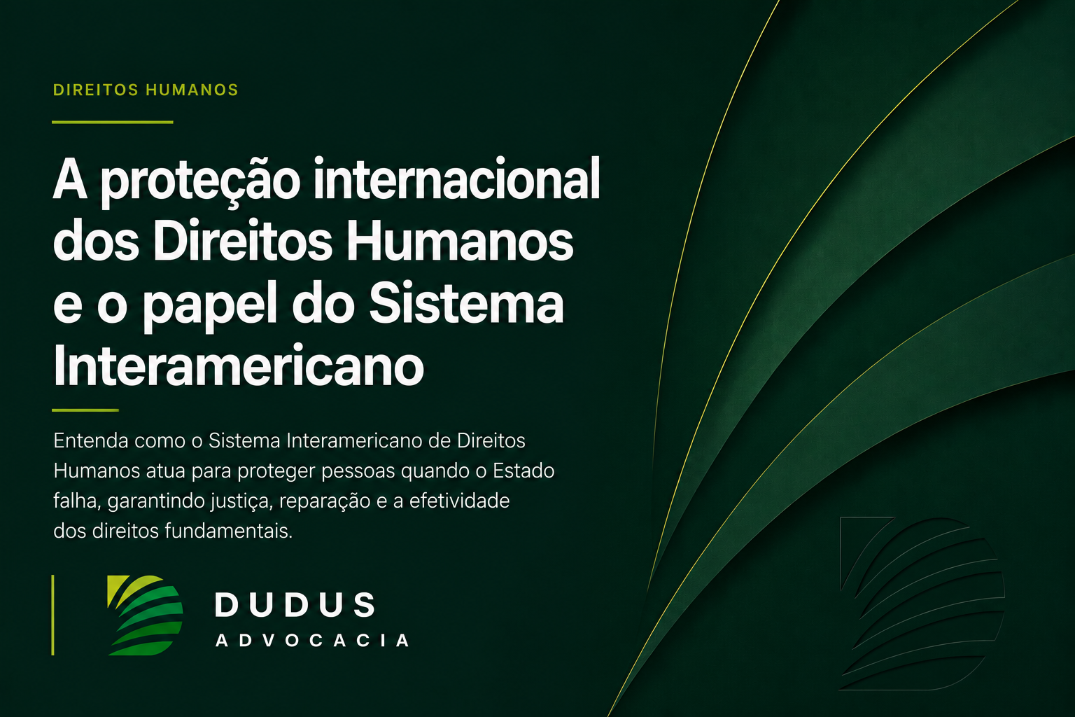 Quando o Estado falha: a proteção internacional dos Direitos Humanos e o papel do Sistema Interamericano