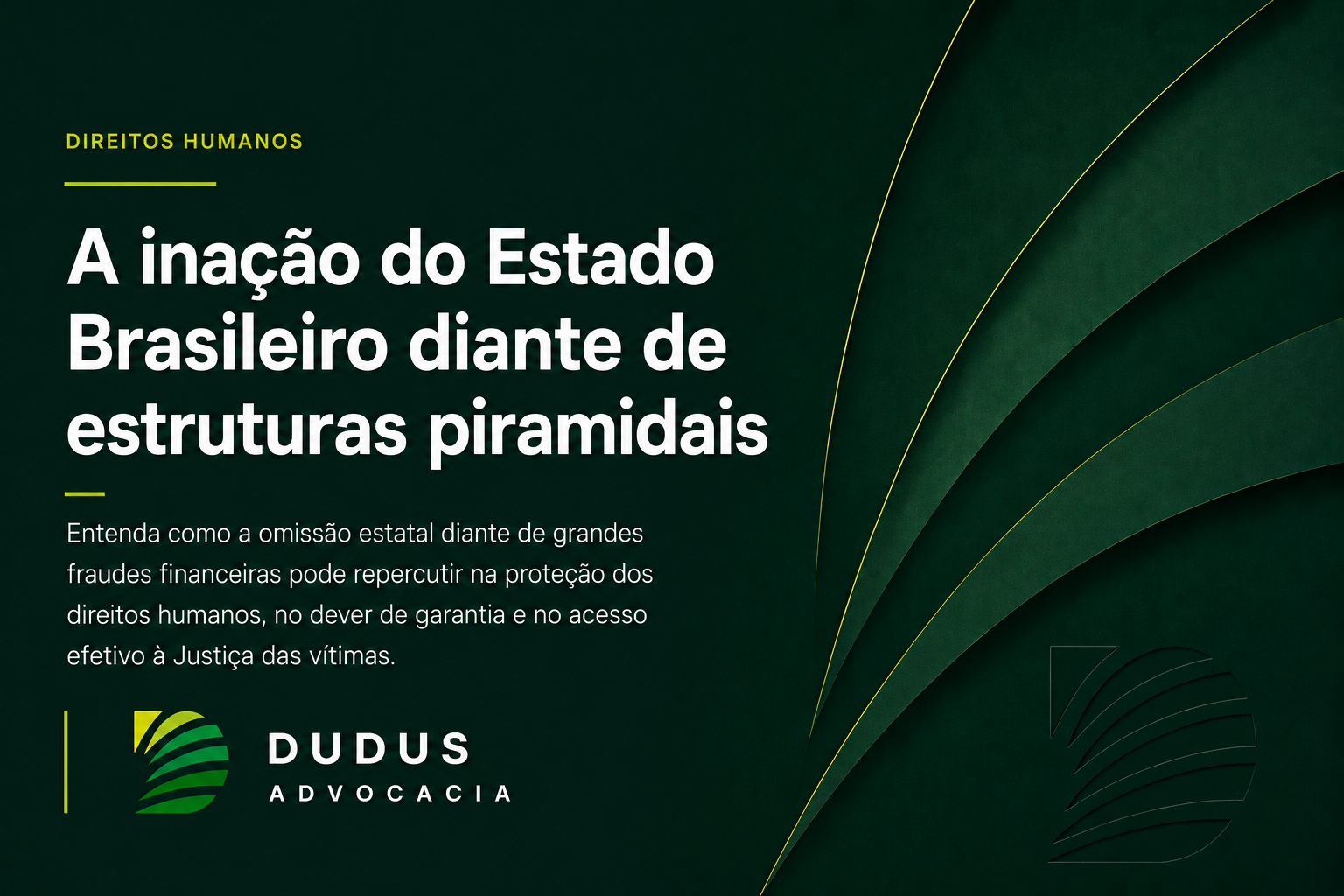 A inação do Estado Brasileiro diante de estruturas piramidais: pode haver responsabilidade internacional por violação de Direitos Humanos?
