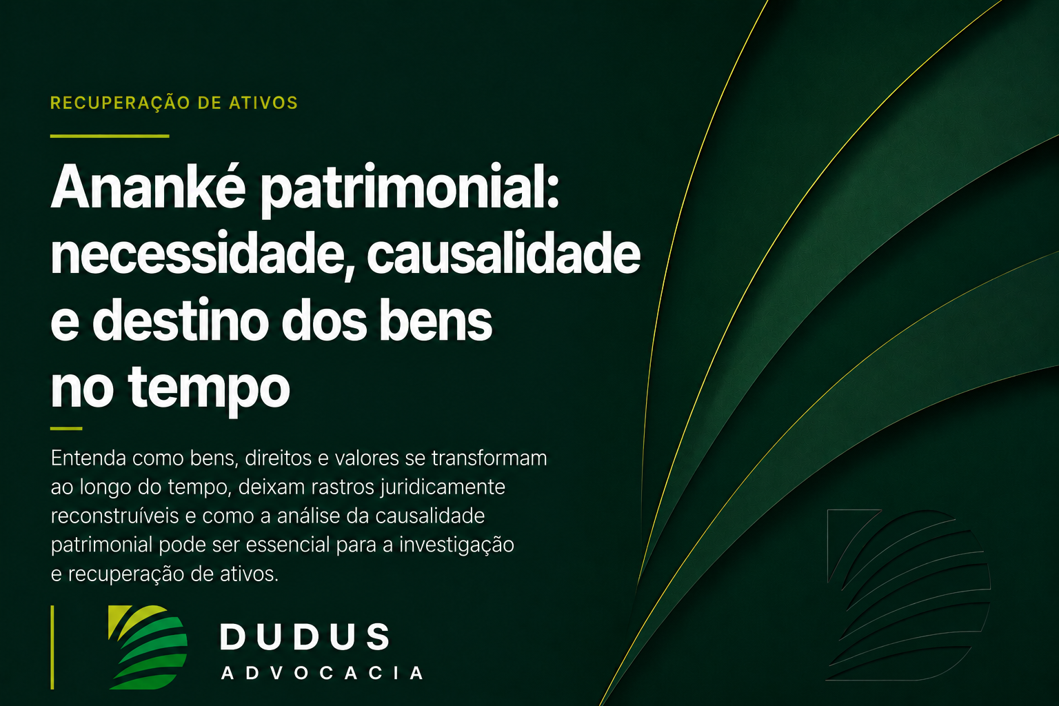 Ananké patrimonial: necessidade, causalidade e destino dos bens no tempo